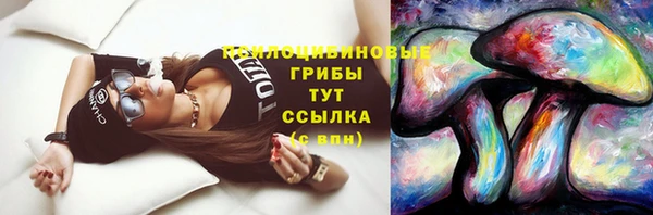 MESCALINE Надым