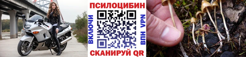 omg онион  Орск  Галлюциногенные грибы Psilocybe  как найти наркотики 
