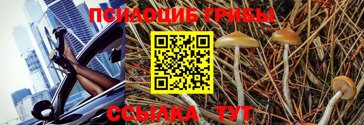 Меф  Орск  МДМА  Кокаин  Гашик  Вход с VPN  Бошки Шишки 