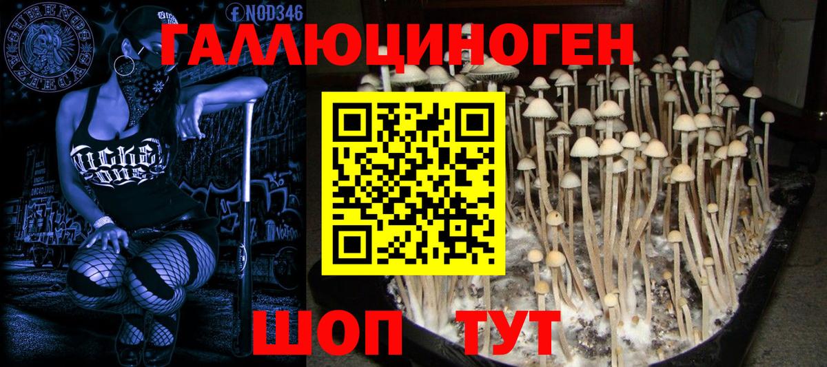 Галлюциногенные грибы Magic Shrooms  Псилоцибиновые грибы мицелий  Орск  Вход с VPN 