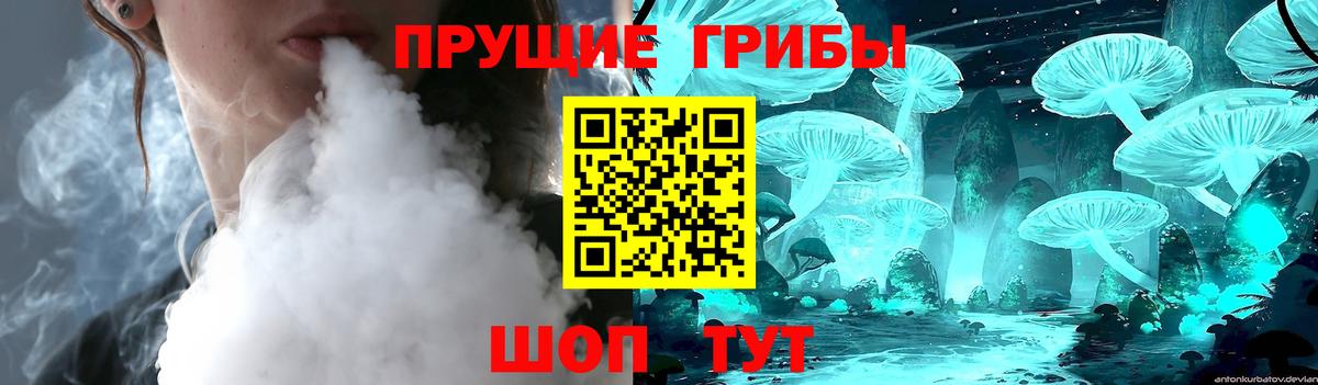 Галлюциногенные грибы Psilocybe Орск