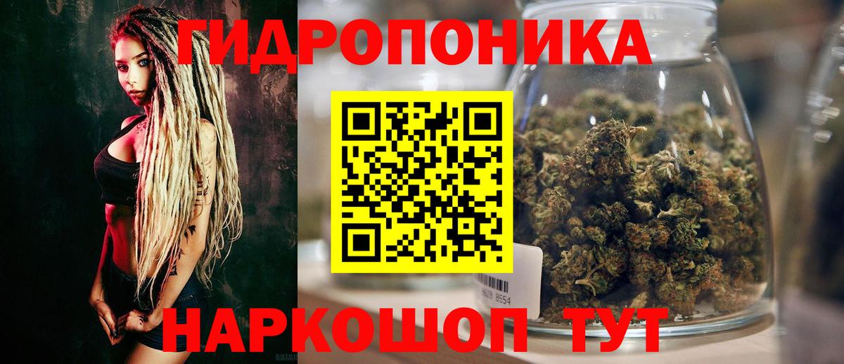 Каннабис сатива Орск